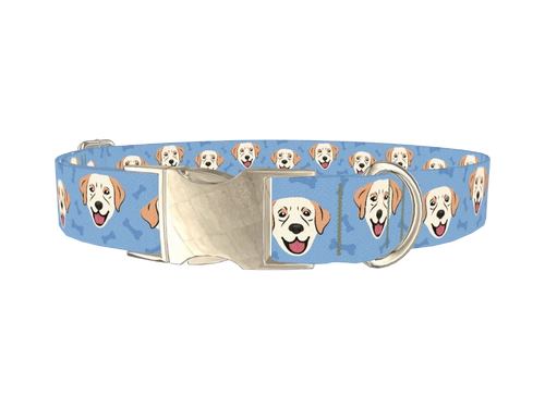 Labrador Dog Collar