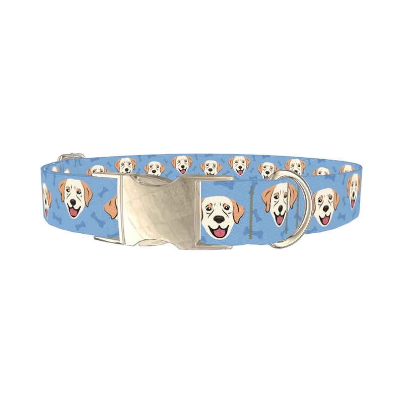 Labrador Dog Collar - metal silver