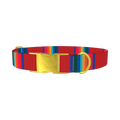 Striped Rainbow Dog Collar - metal gold