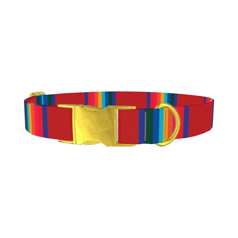 Striped Rainbow Dog Collar - metal gold