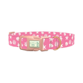 Seashell Beach Dog Collar - plastic rose gold