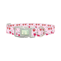 Heart Glasses Dog Collar - plastic silver