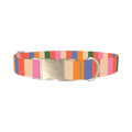 Colorful Stripe Pattern Dog Collar - metal silver