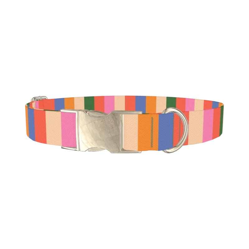 Colorful Stripe Pattern Dog Collar - metal silver