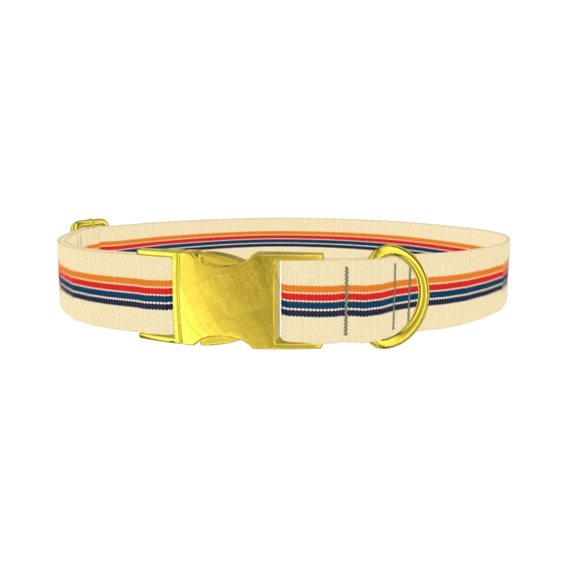 Retro Stripe Dog Collar - metal gold