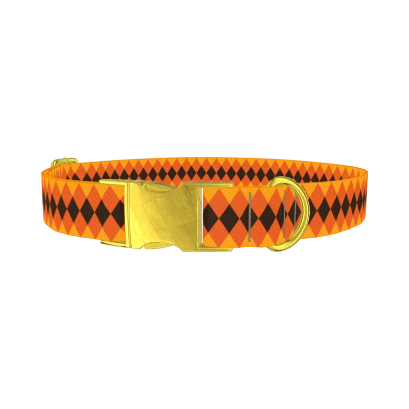 Halloween Rhombus Dog Collar - metal gold