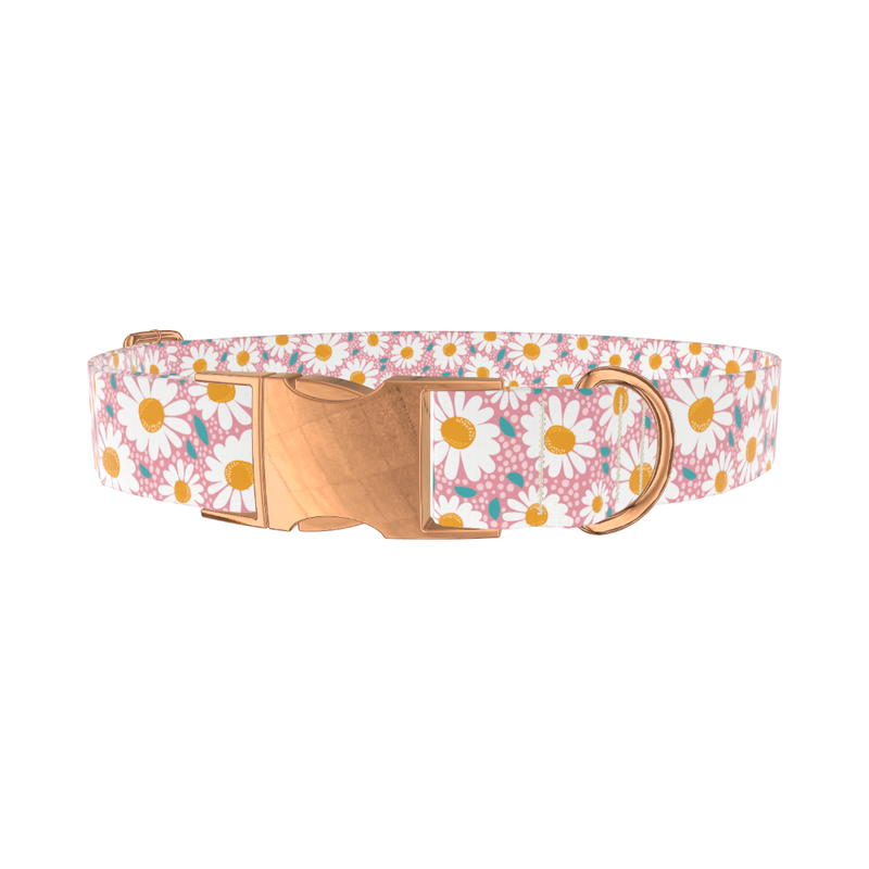 Pink Chamomile Dog Collar