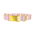 Geometric Stripe Dog Collar - metal gold