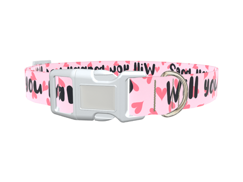 Heart Pattern Dog Collar