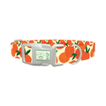 Fruit Orange Dog Collar - plastic silver