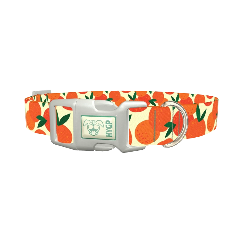 Fruit Orange Dog Collar - plastic silver