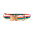 Multicolor Stripe Dog Collar - metal rose gold