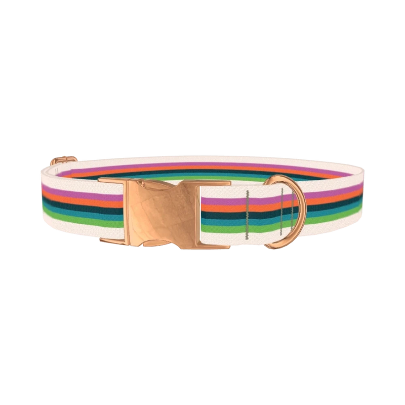 Multicolor Stripe Dog Collar - metal rose gold