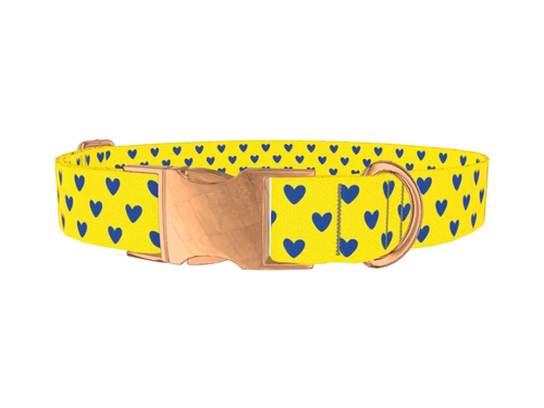 Blue Heart Dog Collar