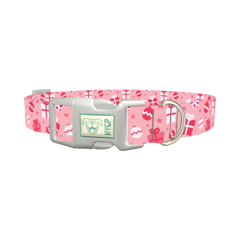 Christmas Gift Dog Collar - plastic silver