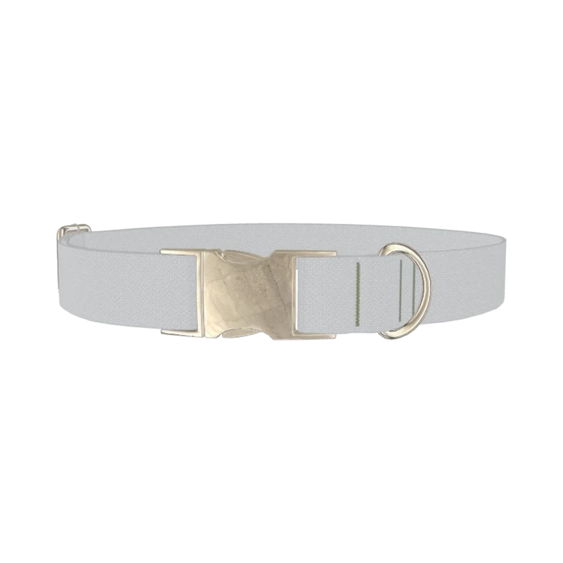 Elemental Color Dog Collar - metal silver