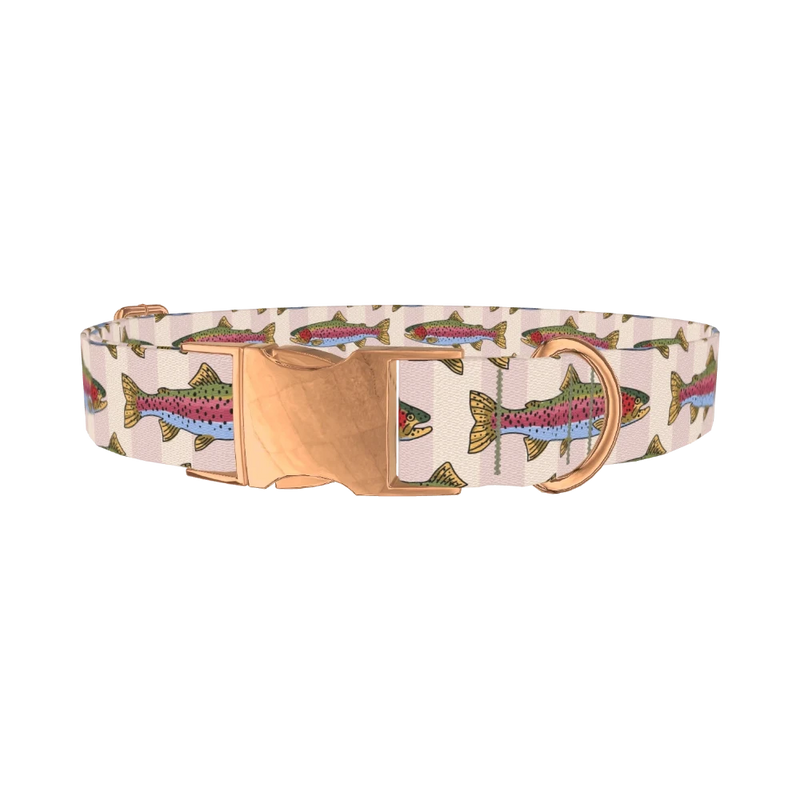 Rainbow Trout Fish Dog Collar - metal rose gold