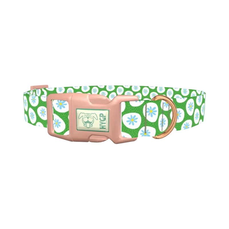 Floral Easter Egg Dog Collar - plastic rose gold