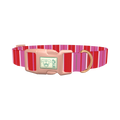 Red Pink Striped Dog Collar - plastic rose gold