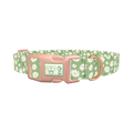 Green Daisy Dog Collar - plastic rose gold