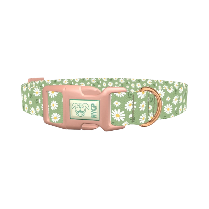 Green Daisy Dog Collar - plastic rose gold
