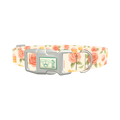 Floral Sweets Dog Collar - plastic silver