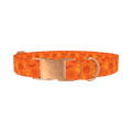 Halloween Mix Dog Collar - metal rose gold