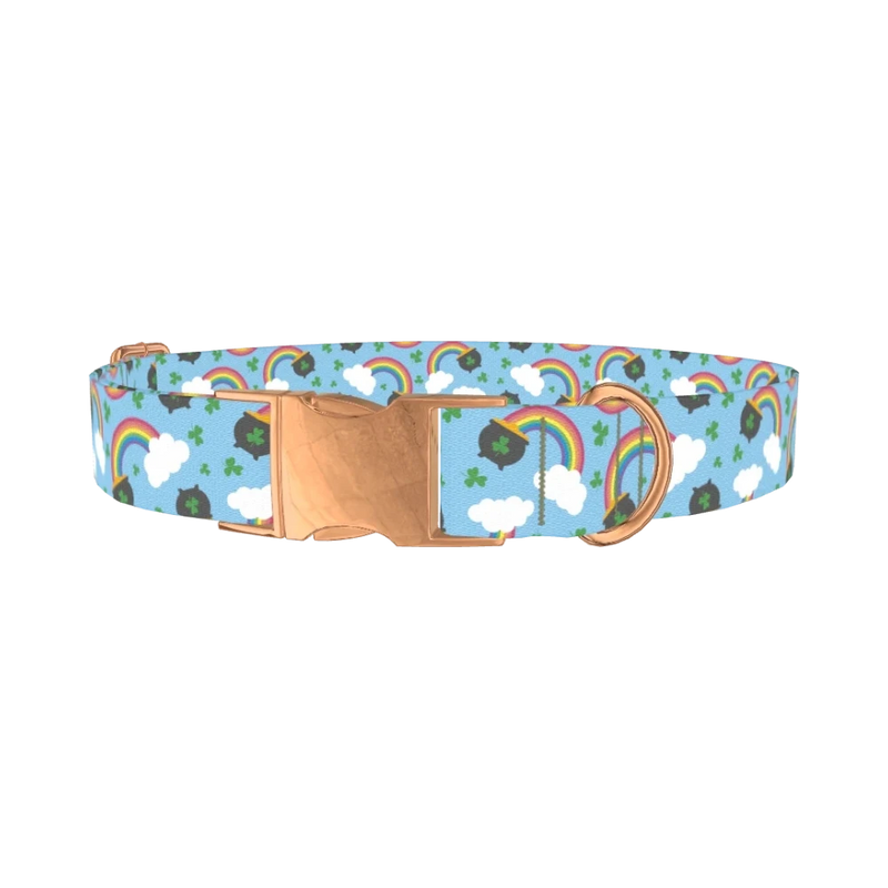St. Patrick's Rainbow Dog Collar - metal rose gold