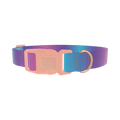 Blue Pink Ombre Dog Collar - plastic rose gold