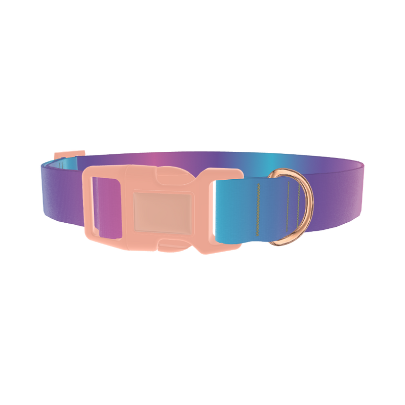 Blue Pink Ombre Dog Collar - plastic rose gold