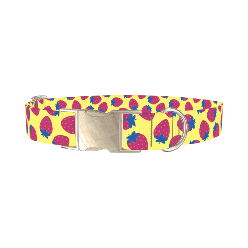 Strawberry Fruit Dog Collar - metal silver