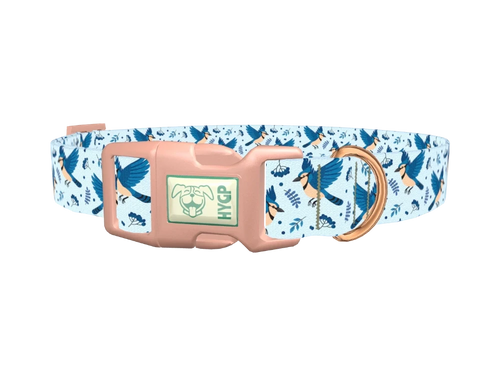 Bluejay Bird Dog Collar