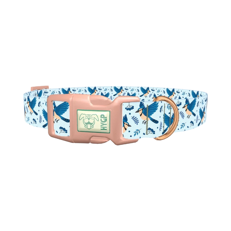 Bluejay Bird Dog Collar - plastic rose gold