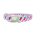 Pink Hydrant Dog Collar - plastic silver