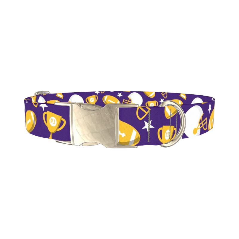 Football Theme Dog Collar - metal silver