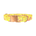 Yellow Abstract Splatter Dog Collar - metal rose gold