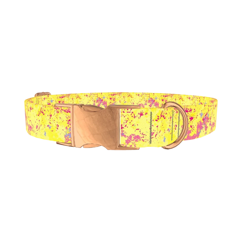 Yellow Abstract Splatter Dog Collar - metal rose gold