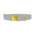 Microchip Color Dog Collar - metal gold