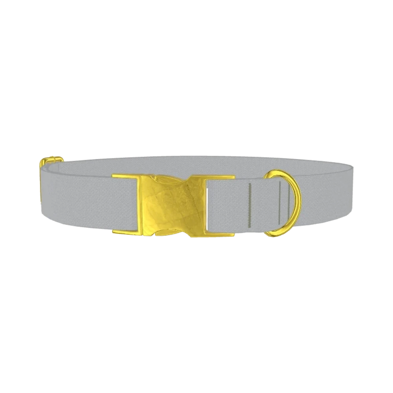 Microchip Color Dog Collar - metal gold