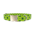Green Clover Pattern Dog Collar - metal gold