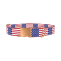 Patriotic American Flag Dog Collar - metal rose gold
