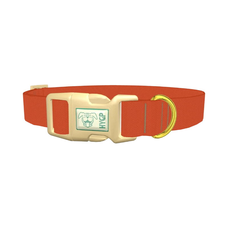 Bronze Satin Color Dog Collar - plastic gold