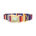 Colorful Mexican Stripe Dog Collar - plastic gold