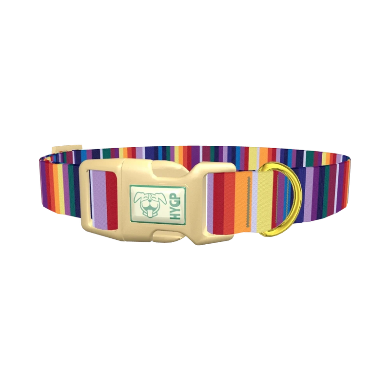 Colorful Mexican Stripe Dog Collar - plastic gold