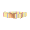 Pastel Stripe Dog Collar - metal rose gold