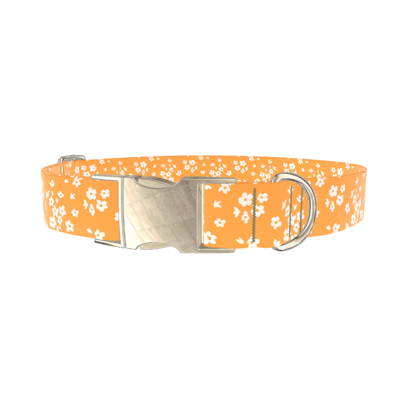 Yellow Blossom Dog Collar - metal silver