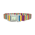 Yellow Purple Stripe Dog Collar - plastic silver