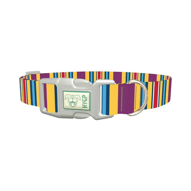 Yellow Purple Stripe Dog Collar - plastic silver