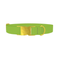 Seductive Thorns Color Dog Collar - metal gold
