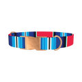 Vivid Stripe Dog Collar - metal rose gold